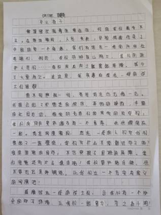 78 苗晨英