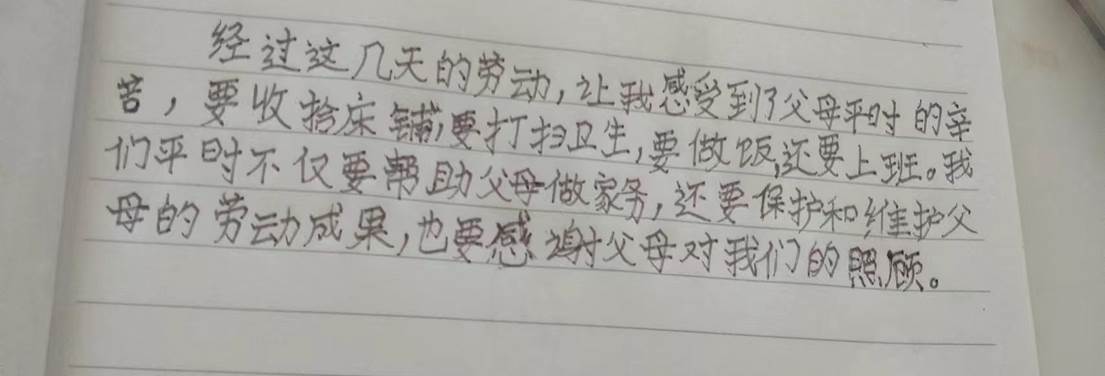 三年一班-劳动锻炼实践感受