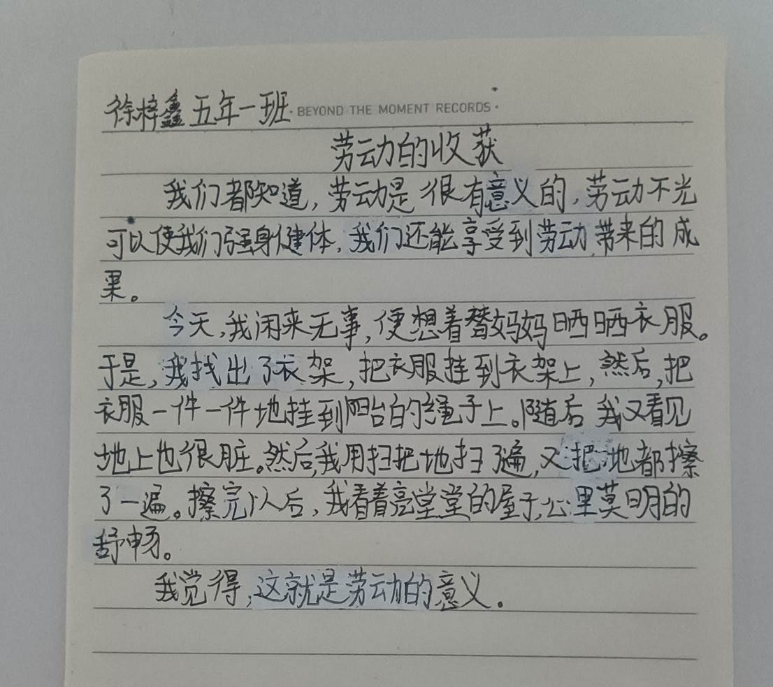 五年一班-劳动锻炼实践感受