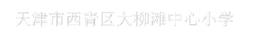 天津市西青区大柳滩中心小学