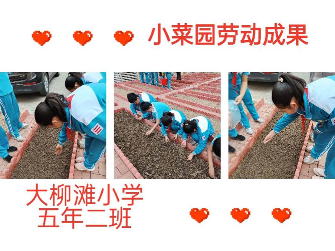 五年二班-小菜园拼图