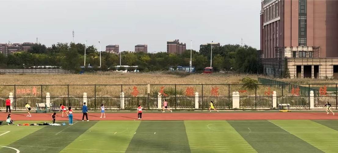 dea05ef00fd5c75120c4fd4ad9cfbe0