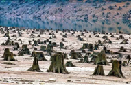 微信图片_20200427203353.png