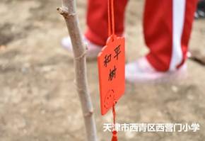 79fcf62072add3f876f8080f30ad312c_副本